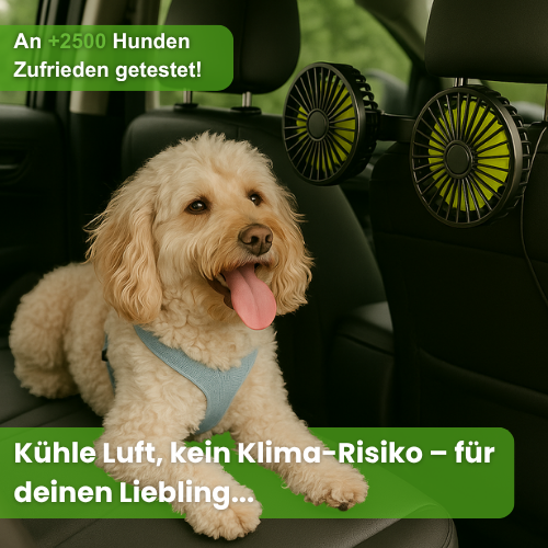CoolPfote™ – Das Reise-Gadget des Jahres 2026 für Hunde