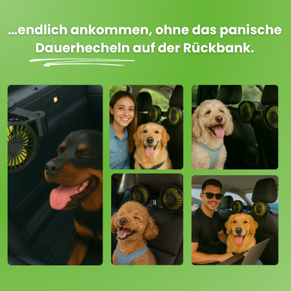 CoolPfote™ – Das Reise-Gadget des Jahres 2026 für Hunde