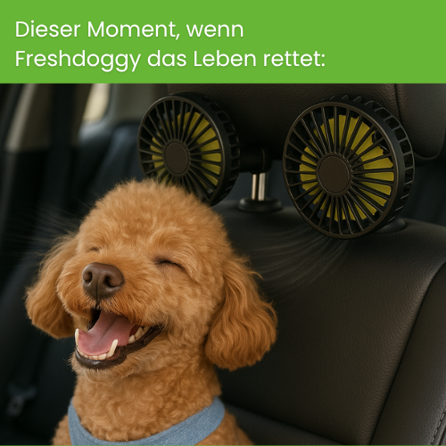 CoolPfote™ – Das Reise-Gadget des Jahres 2026 für Hunde