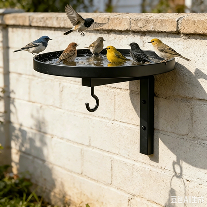 VogelTreff™ – 2-in-1 Vogeltränke und Futterstation für die Wand