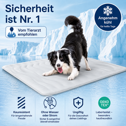 FrostPfote™ - Selbstkühlende Hundematte für heiße Sommertage