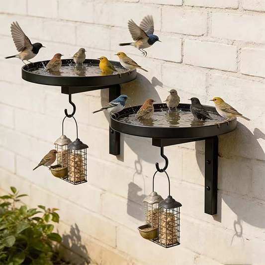 VogelTreff™ – 2-in-1 Vogeltränke und Futterstation für die Wand
