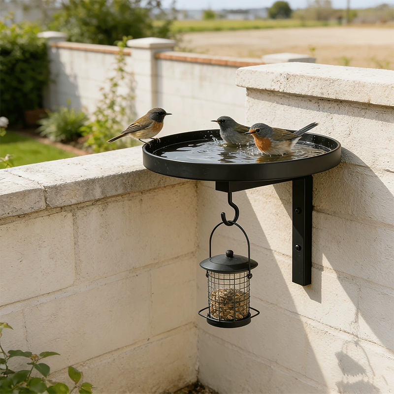 VogelTreff™ – 2-in-1 Vogeltränke und Futterstation für die Wand