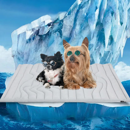 FrostPfote™ - Selbstkühlende Hundematte für heiße Sommertage